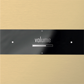 Сатинированное золото