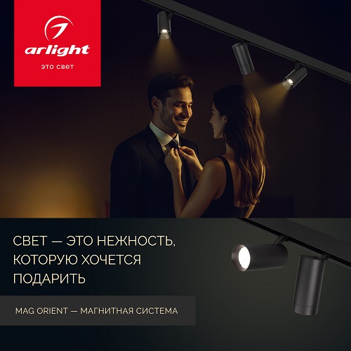 MAGOrient – функциональная магнитная система